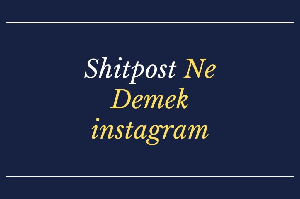 Shitpost Ne Demek instagram